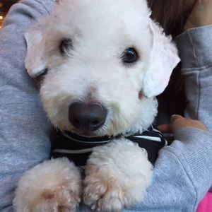 Meet your Posher, Laura